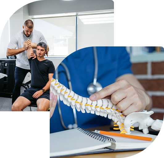 Physical therapy session and spinal model consultation.